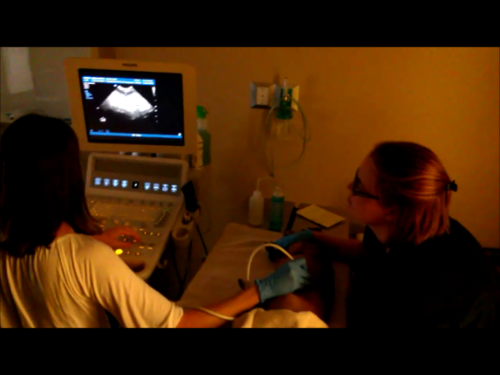 TVRH employee conducting ultrasound
